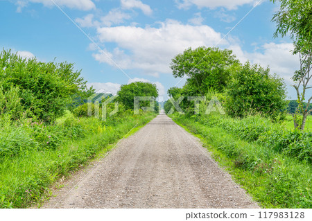 一條筆直的未鋪砌道路（泥土圖像） 117983128