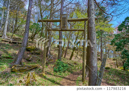 Torii gate at the Yamato Takeru Memorial Forest on the way down from Ninoto to Bodai Pass in Hadano City, Kanagawa Prefecture 117983216
