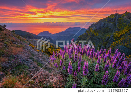 View near Pico do Arieiro, Portugal on sunrise View near Pico do Arieiro, Portugal on sunrise 117983257