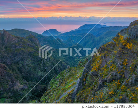 Mountains on sunrise covered in fog and clouds. Madeira island, Portugal Mountains on sunrise covered in fog and clouds. Madeira island, Portugal 117983304