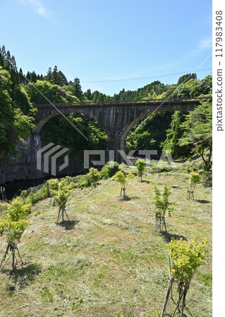 Bridge bridge 117983408