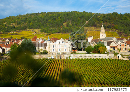 Panoramic view of Saint-Aubin village 117983775