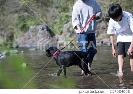 Playing in the river with my dog 117984008