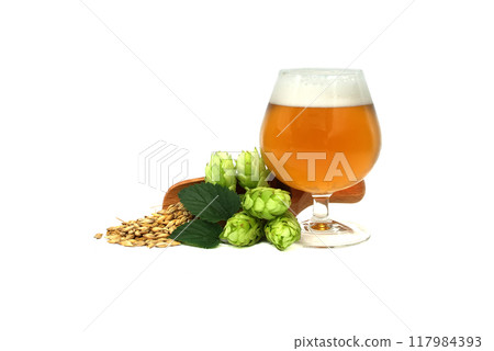 Glass of craft beer paired with fresh hops and barley isolated on white background Glass of craft beer paired with fresh hops and barley isolated on white background 117984393