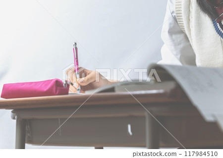 High school girl studying High school girl studying 117984510