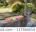 A chozuya decorated with beautiful flowers 117984654