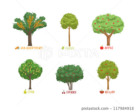 Different Garden Berry Shrubs Sort with Name Inscription Vector Set 117984918