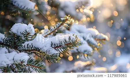 Christmas and New Year seasonal template background design with copy space for social media post. Snowy pine tree in white color tone on bokeh background. AI generated. 117985061