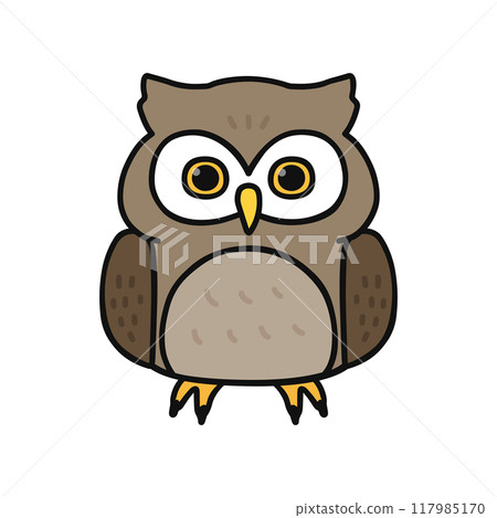 owl   117985170