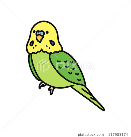 Sekisei parakeet 117985174