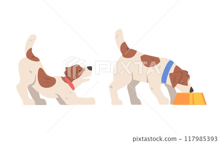 Beagle Dog Hound Breed with Brown Marking and Neck Collar Vector Set 117985393