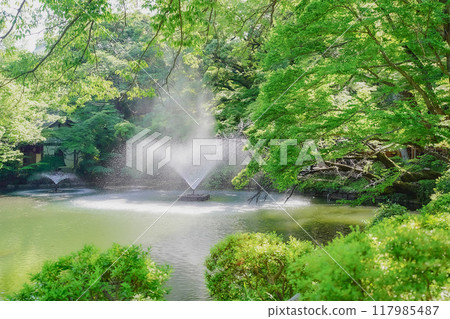 park, parks, inokashira park 117985487