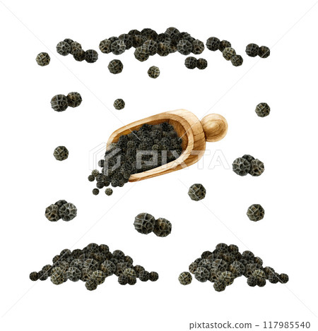 Black peppercorn spice painted illustration set. Hand drawn black pepper spice condiment heap, single elements for cooking and seasoning. Isolated on white background 117985540