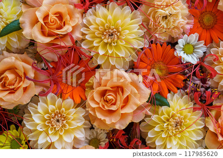 秋天的預兆 117985620