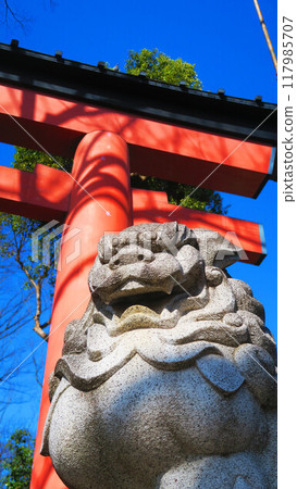 大宮公園入口處的紅色鳥居與藍天（埼玉縣埼玉市大宮區、三沼區） 117985707