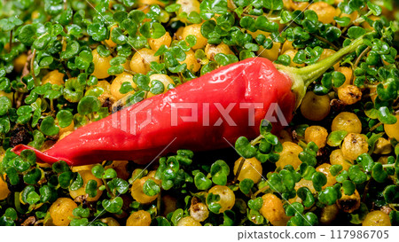 Red Chili Peppers on a green background Red Chili Peppers on a green background 117986705