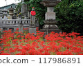 Higanki花和地藏 117986891