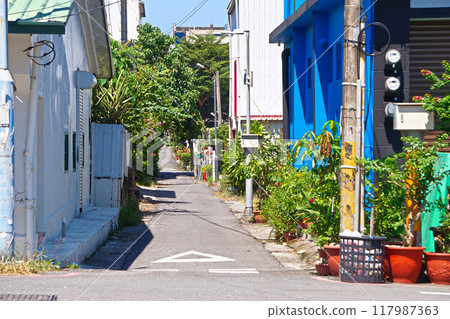 【台灣/台東縣】東部沿海小鎮風景（城城鎮） 117987363