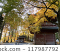 A temple decorated with autumn leaves 117987792