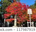 Beautiful autumn leaves on Mount Hiei 117987919
