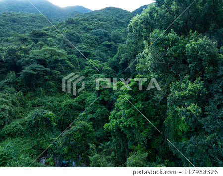 Aerial view of beautiful tropical forest mountain landscape in summer 117988326
