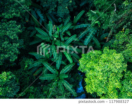 Aerial view of beautiful tropical forest mountain landscape in summer Aerial view of beautiful tropical forest mountain landscape in summer 117988327