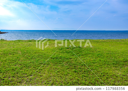 A waterside park with a wide lawn 117988356