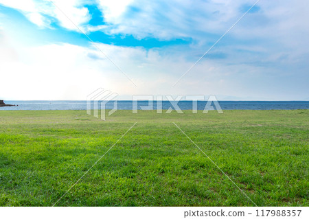 A waterside park with a wide lawn A waterside park with a wide lawn 117988357