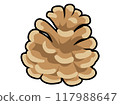 Pine cone with black border 117988647