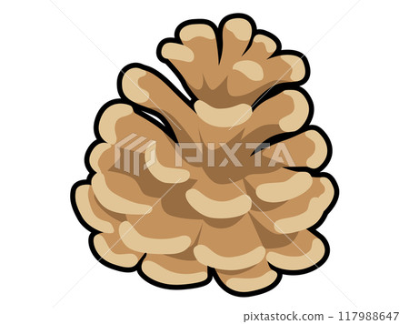 Pine cone with black border 117988647