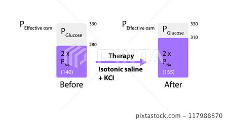 Plasma's effective osmolality defense ensures balanced hydration, vital for cellular function and overall physiological stability, 2d 117988870