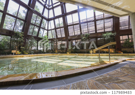 Hot spring 117989483