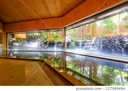 Hot spring 117989484