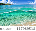 高度透明的海灘 117989518