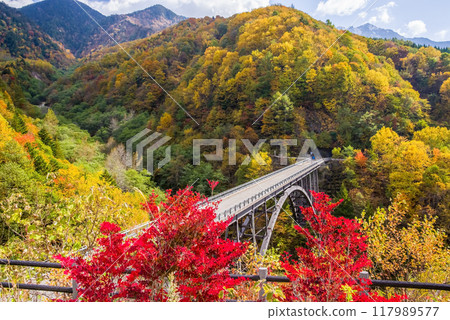 紅葉之巔的奧飛驒溫泉村（北阿爾卑斯大橋） 117989577