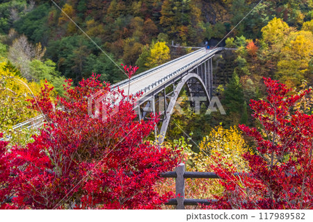 Okuhida Onsen Village at the peak of autumn foliage (Northern Alps Bridge) 117989582