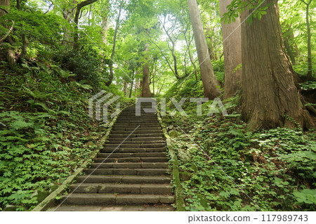 通往森林深處神社的樓梯 117989743