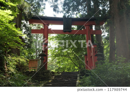 羽黑山山頂入口 117989744