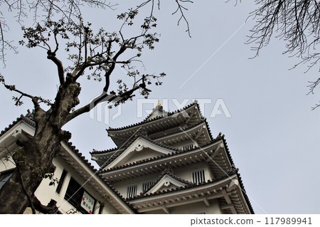 戰國城Sunomata Night Castle Walk 11(岐阜縣大垣市Sunomata) 戰國城Sunomata Night Castle Walk 11(岐阜縣大垣市Sunomata) 117989941