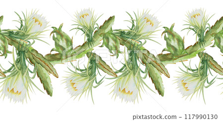 Seamless border with pitahaya,dragonfruit,pitaya. Hand drawn watercolor illustration of pitahaya for fabric design,cover,tropical wallpaper. Seamless border with pitahaya,dragonfruit,pitaya. Hand drawn watercolor illustration of pitahaya for fabric design,cover,tropical wallpaper. 117990130