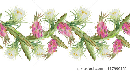 Seamless border with pitahaya,dragonfruit,pitaya. Hand drawn watercolor illustration of pitahaya for fabric design,cover,tropical wallpaper. 117990131