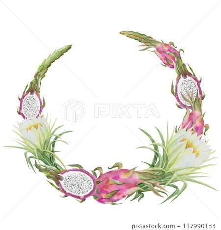 Watercolor illustration frame of red dragon fruit, pitahaya halves and pitahaya flowers. Botanical composition frame of pitahaya pieces and flowers for vegetarian exotic food design 117990133