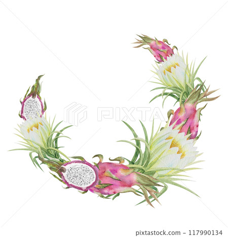 Watercolor illustration frame of red dragon fruit, pitahaya halves and pitahaya flowers. Botanical composition frame of pitahaya pieces and flowers for vegetarian exotic food design 117990134