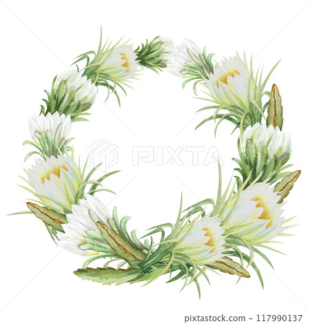 Watercolor illustration frame of pitahaya halves and pitahaya flowers. Botanical composition frame of pitahaya flowers for vegetarian exotic food design 117990137