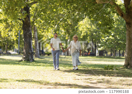 Happy senior couple holding hands walking in summer park Happy senior couple holding hands walking in summer park 117990188