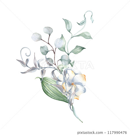 Watercolor arrangement with eucalyptus, gardenia flower and rippled vine of tree in neutral tones isolated. Foliage bouquet with plants in soft sage green tones hand drawn for design nature product. 117990476