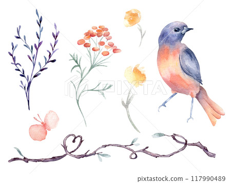 Bird orange and purple, vine branch form heart hand drawn watercolor isolated set. Bluebird, butterfly with flower and twig in botanical sketch hand drawn. Floral elements and bird for Valentine. 117990489