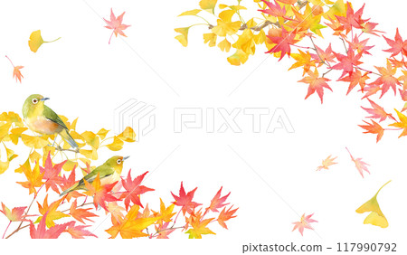 Watercolor illustration of autumn leaves of maple trees, ginkgo trees, and wild birds (Japanese white-eyes). A frame design with an autumn theme. Watercolor illustration of autumn leaves of maple trees, ginkgo trees, and wild birds (Japanese white-eyes). A frame design with an autumn theme. 117990792