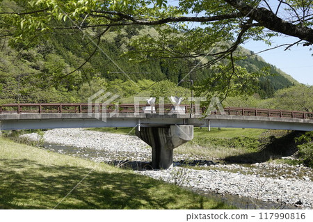 一座橋橫跨清澈的溪流和新鮮的綠色植物 117990816