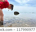 Girl looking into shallow sea 117990977